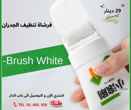 فرشاة تنظيف الجدران