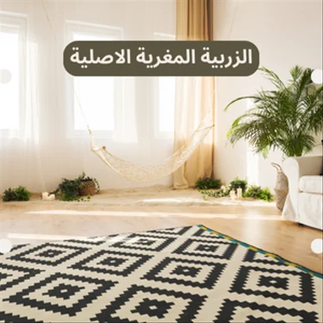 الصناعة التقليدية