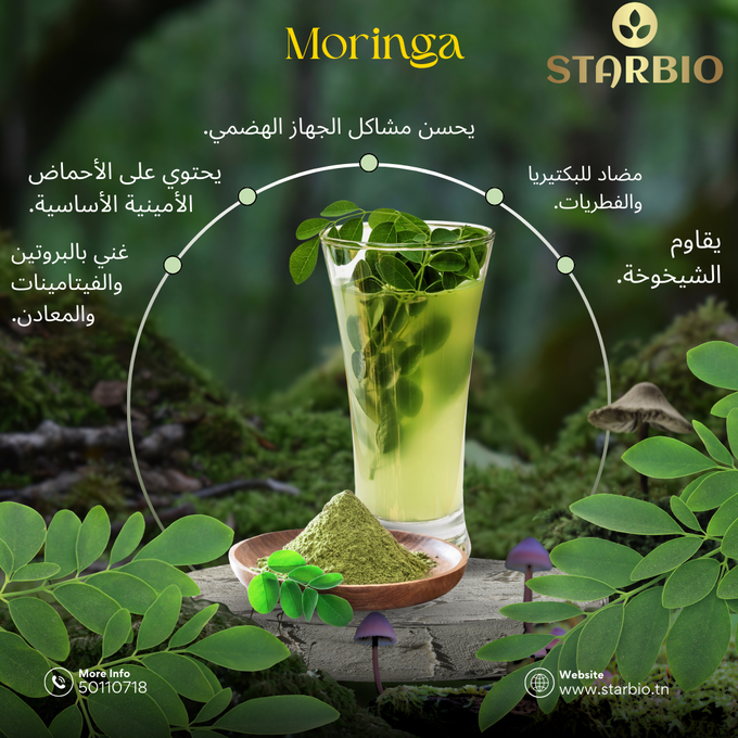 stores/caa15b417bad5221fdbb959b68f1ca51/products/nvxoy6cJrxTlssm5864HaAKkKjiAts6Qta8QXSOh.png