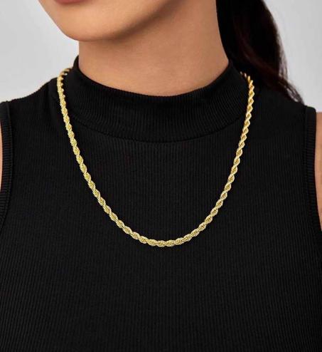 Longue Collié inoxidable