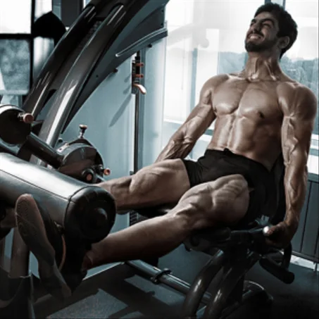 Fitness & musculation