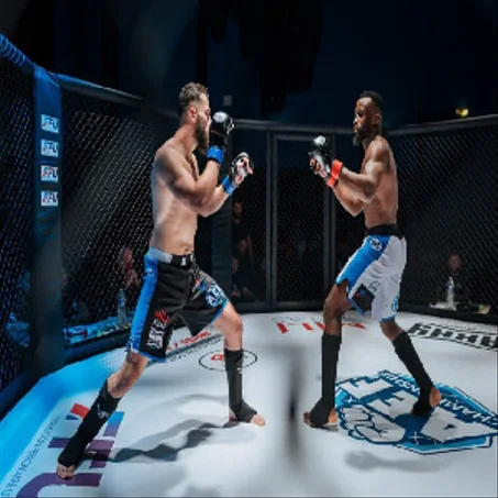 kick boxing & muay Thai / boxe / mma