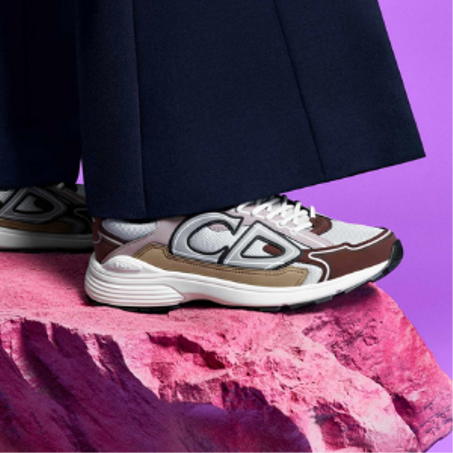 DIOR SNEAKERS