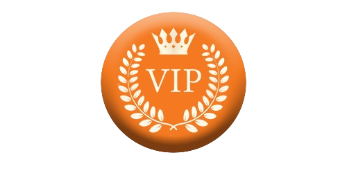 VIP STORE