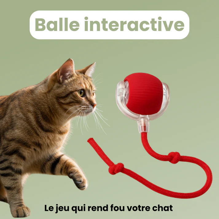 Balle interactive