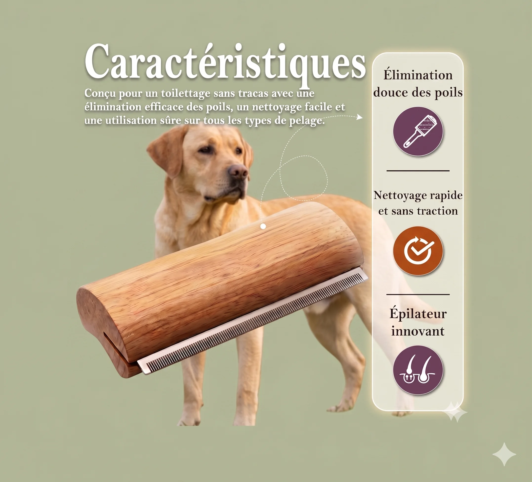 Brosse Clean'Poils™