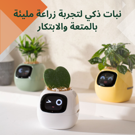 حوض النباتات  الذكي لتجربة زراعة مليئة بالمتعة والابتكار