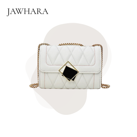 الحقيبة الجلدية الأنيقة