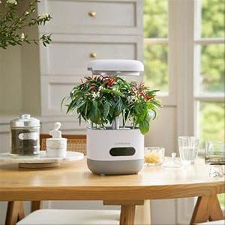 المنزل والتحسينات