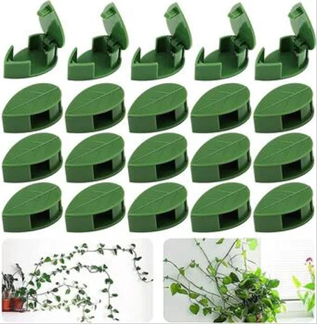 مثبت النباتات في الجدار ساهل و سريع