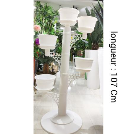 شجرة الورود المزهرة 🌼🌺 🌹