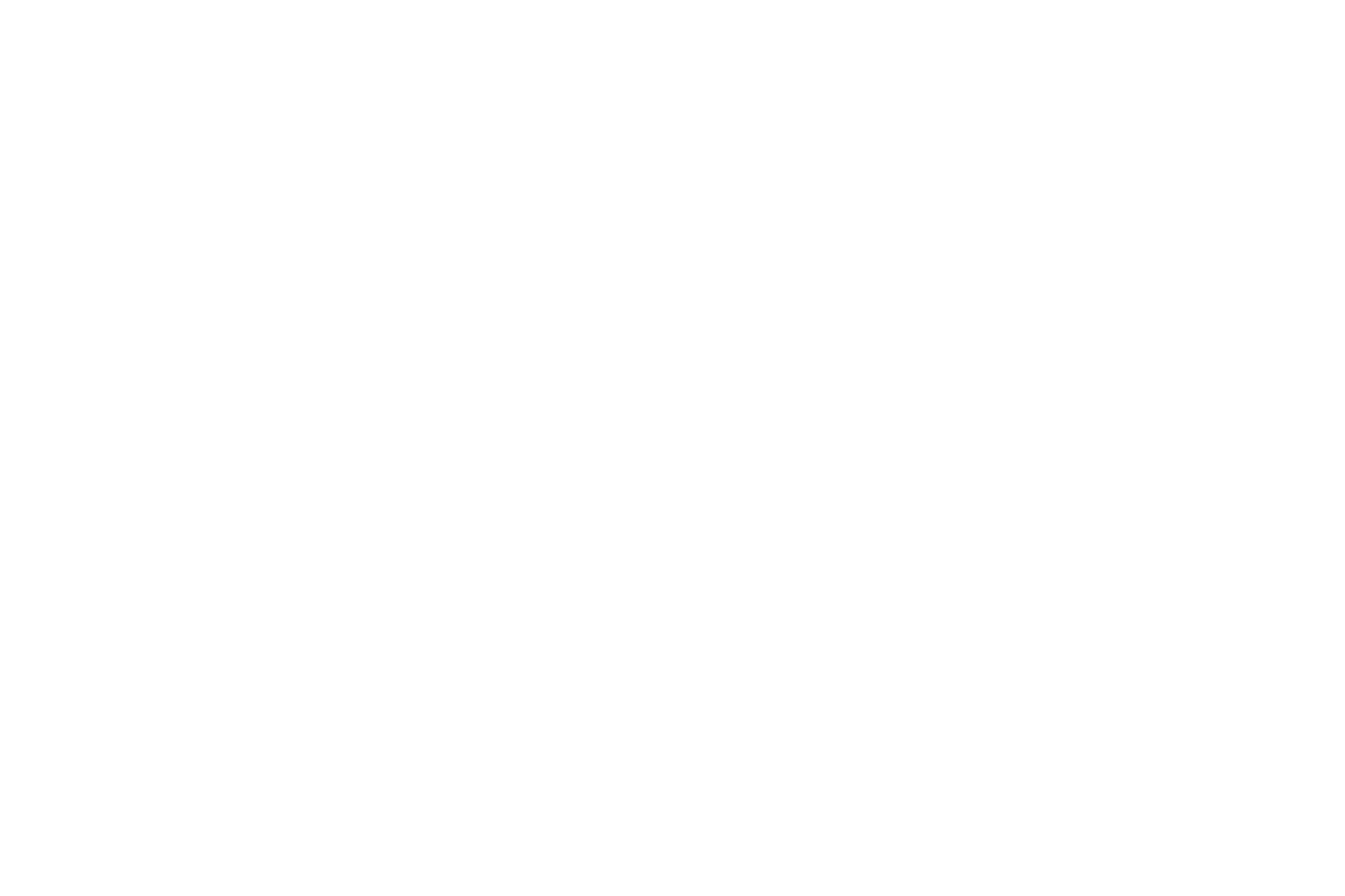 KARTOZITOYS