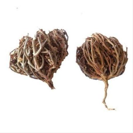 Maryam’s Palm Herb	عشبة كف مريم