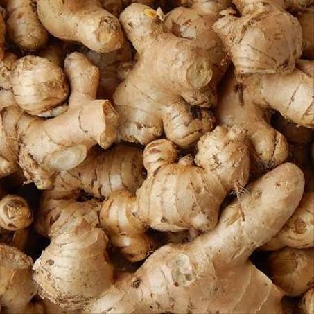 زنجبيل طازج Fresh Ginger