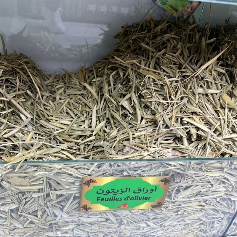 أوراق الزيتون Feuilles d