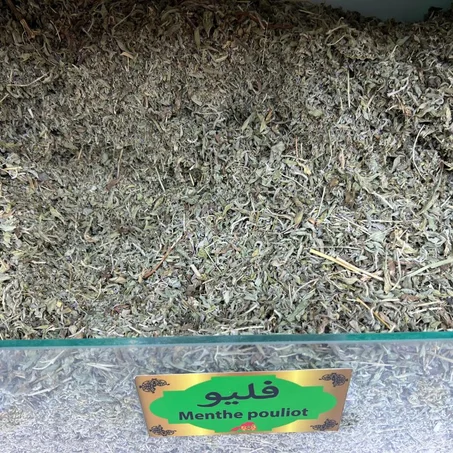 Menthe pouliot عشبة "فليو" أو ما يعرف بالنعناع الفلفلي
