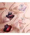 stores/cd05cedeb8d504be0822df23e006bbf7/products/ICyNKRqsqvV5sDTvffk3YmS0WF00IiJFeM9UtKBH.jpg