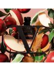 stores/cd05cedeb8d504be0822df23e006bbf7/products/xpOlZ6DazkPdmXqy6MKoASFSyFVP2mXDJe3fRNr8.jpg