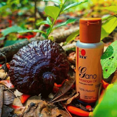 زيت  التدليك جانو