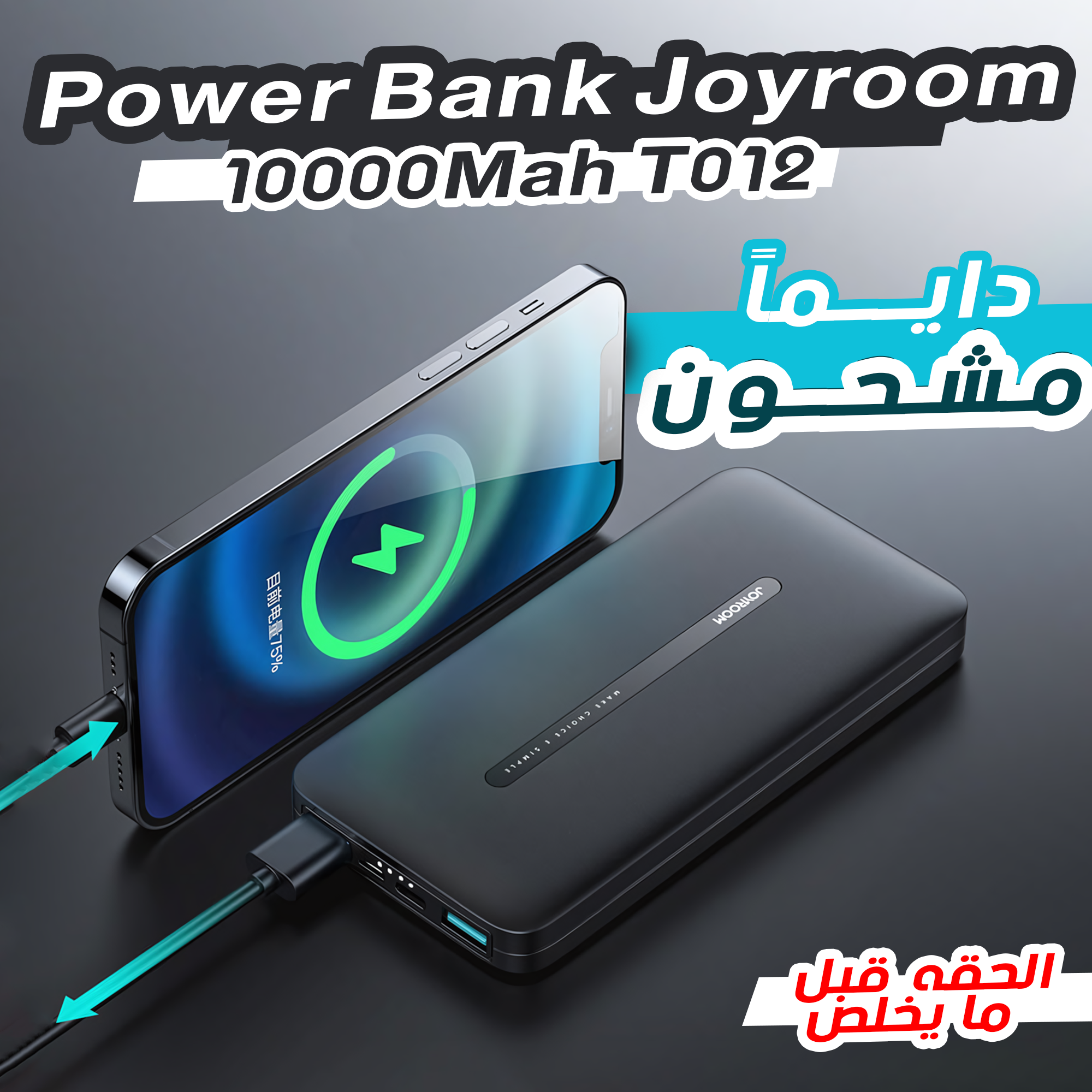 • Power Bank Joyroom 10000Mah T012