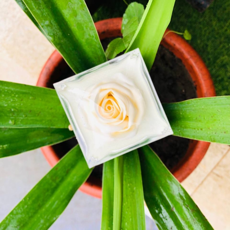 علب هدايا راقية مع قلادات فاخرة