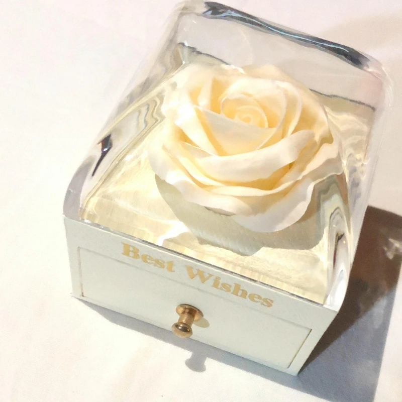 صندوق المناسبات السعيدة-Boîte de bonne occasion