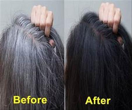 شامبو الشيب الاصلي