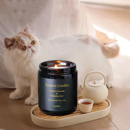 الجمال والعناية