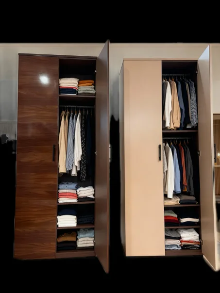 أناقة الترتيب: خزائن ملابس بتصميم عصري ومنظم.