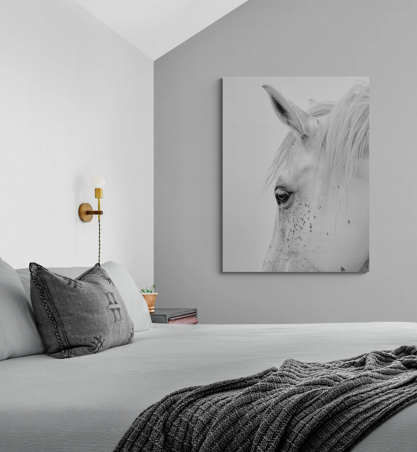 Cadre déco Cheval Blanc