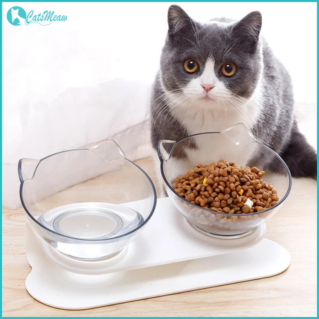 CatsMeaw™ Double Cat Bowls for Food and Water