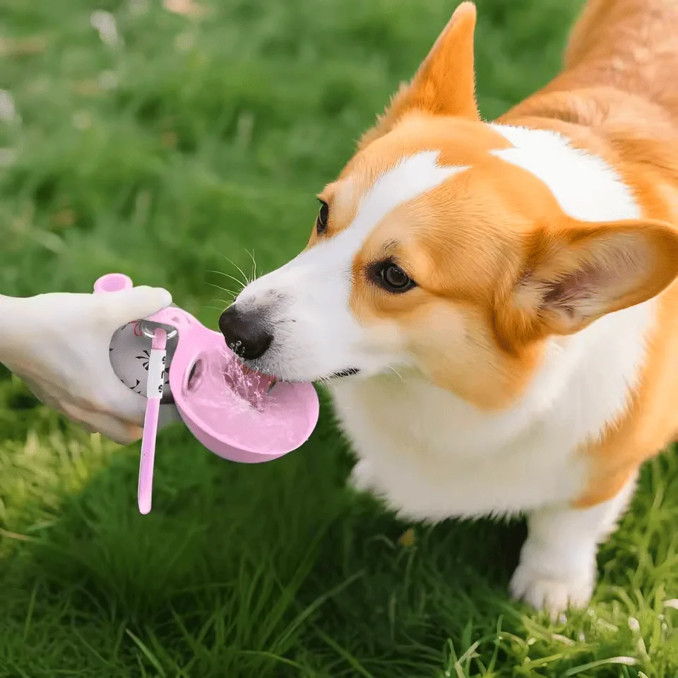 Gadgeni™ Dogs Drinking Bottle