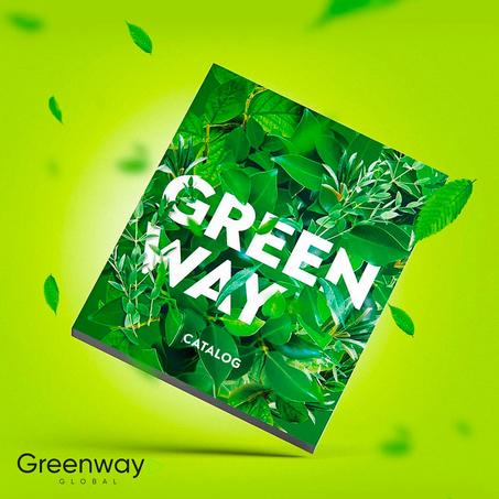 التصنيفات الرئيسية