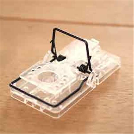 الحماية من القوارض