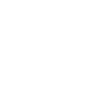 Search Icon