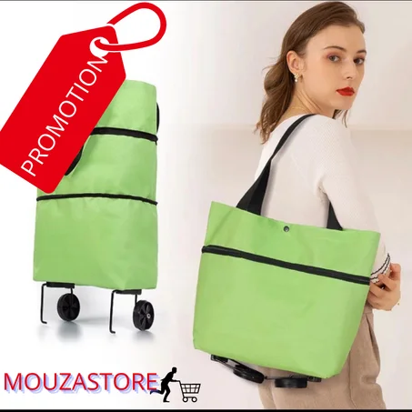 CHARIOT ET SAC DE COURSES