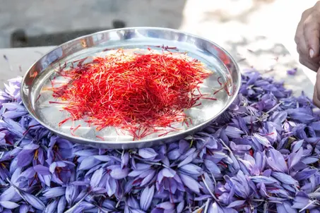 زعفران من تالوين المغرب