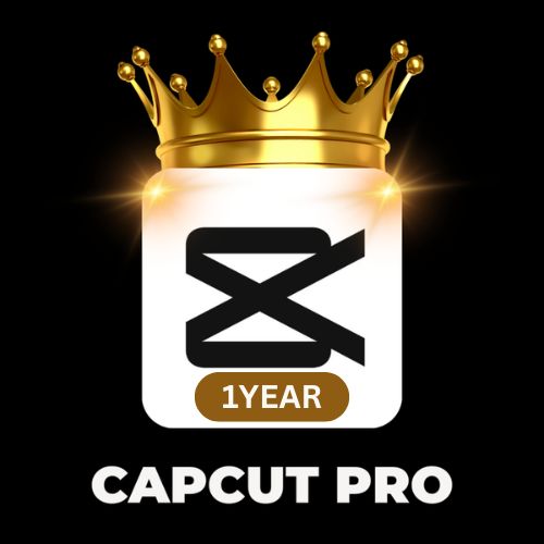 Capcut Pro 12 Months Private Account
