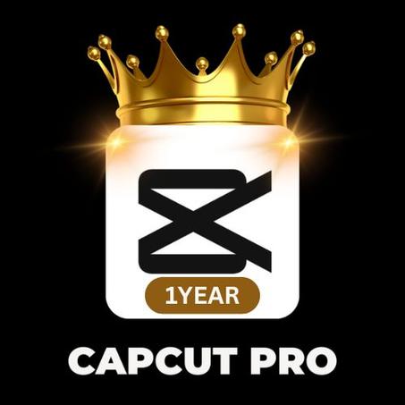 Capcut Pro 12 Months Private Account