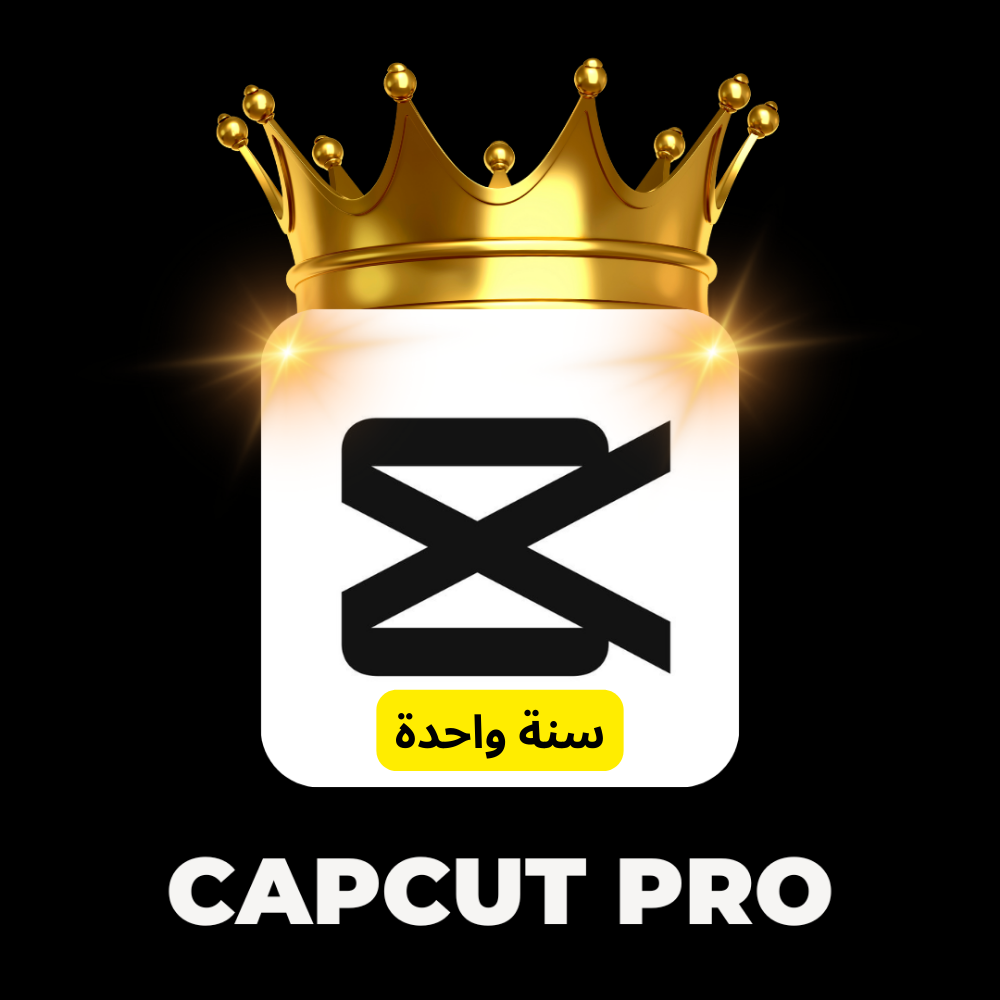 Capcut Pro 12 Months Private Account