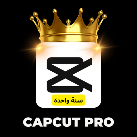 Capcut Pro 12 Months Private Account