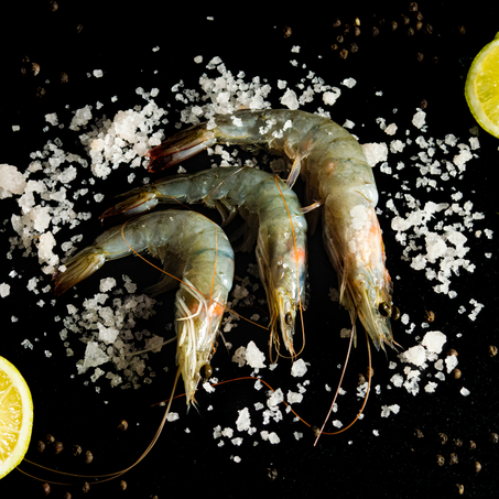 Crevette Grise