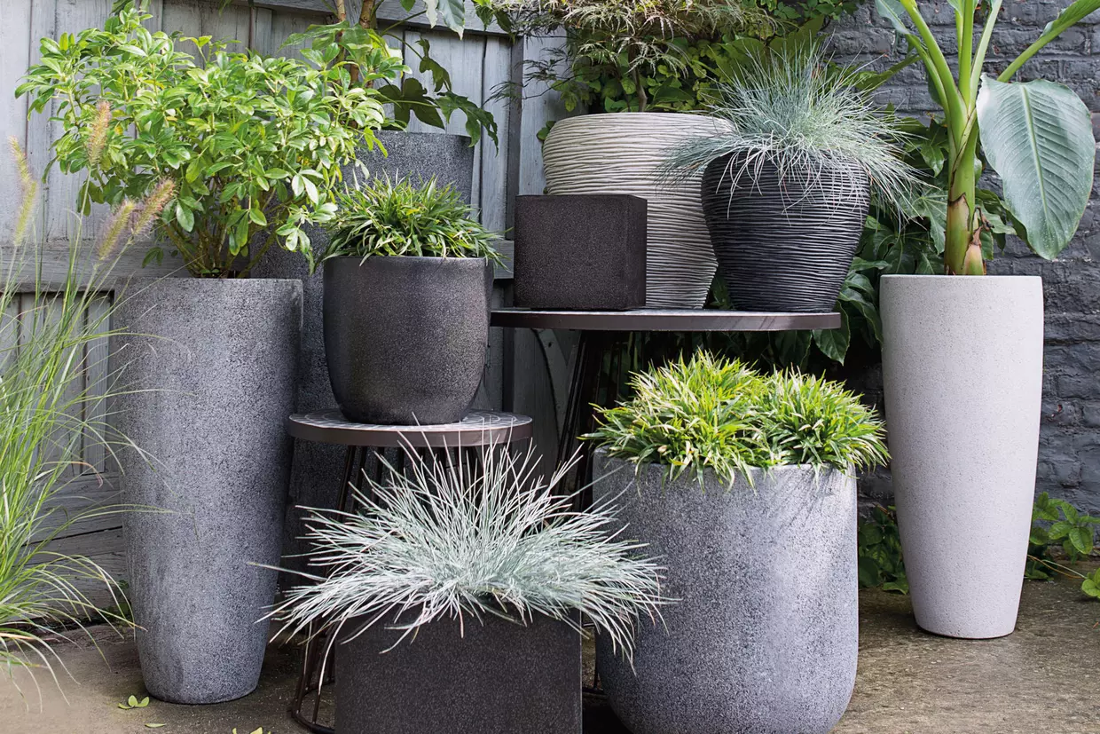 Pots Et Plantes