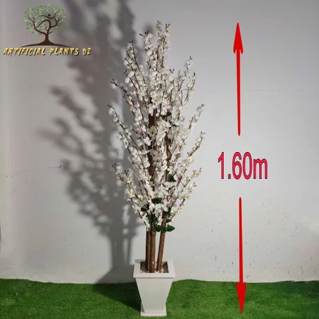 Amande Grand modèle 1.60m