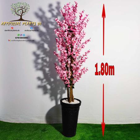 Amande Grand modèle 1.80m