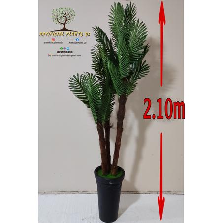 Palmier Grand modèle 2.10m