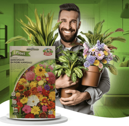 بذور زهرة الغزانيا - زهور فواحة تمنحك الراحة و السكينة