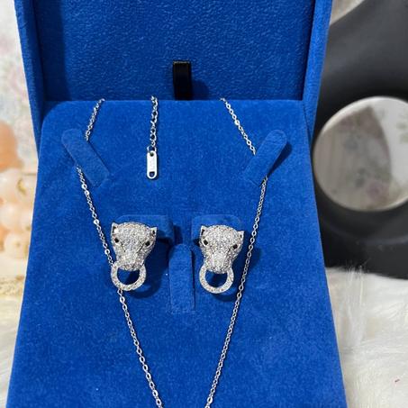 Ensemble Jaguar argentée