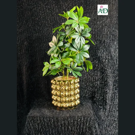 Vase 3