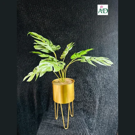 Vase 8